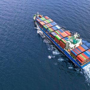 الصادرات 2025